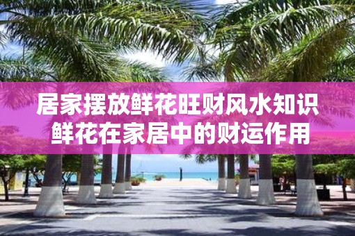 居家摆放鲜花旺财风水知识 鲜花在家居中的财运作用