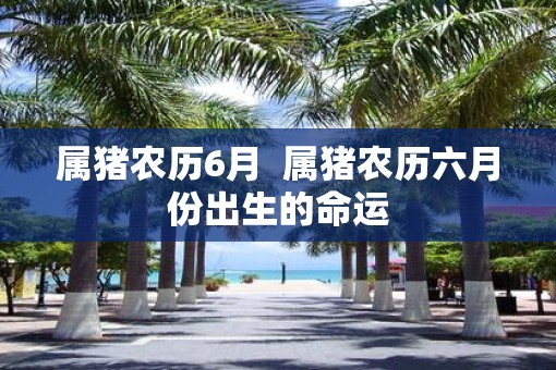 属猪农历6月  属猪农历六月份出生的命运