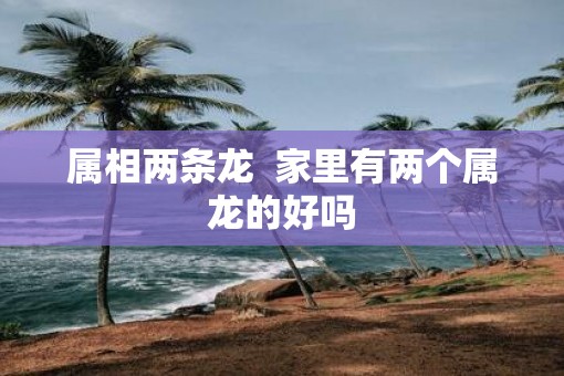 属相两条龙  家里有两个属龙的好吗