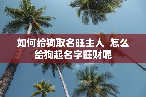 如何给狗取名旺主人  怎么给狗起名字旺财呢