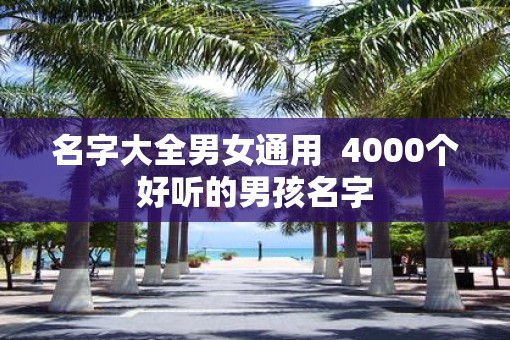 名字大全男女通用  4000个好听的男孩名字