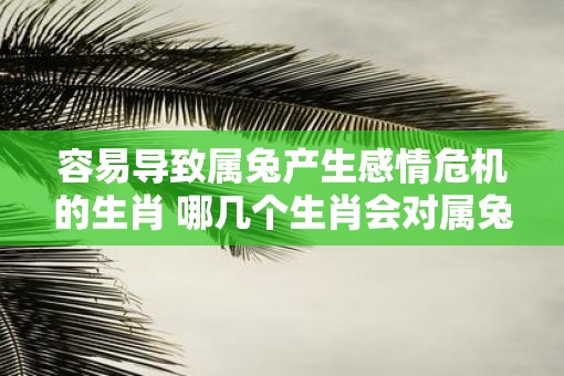 容易导致属兔产生感情危机的生肖 哪几个生肖会对属兔产生感情危机