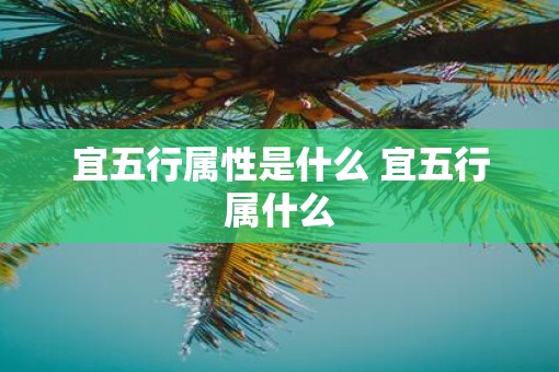 宜五行属性是什么 宜五行属什么