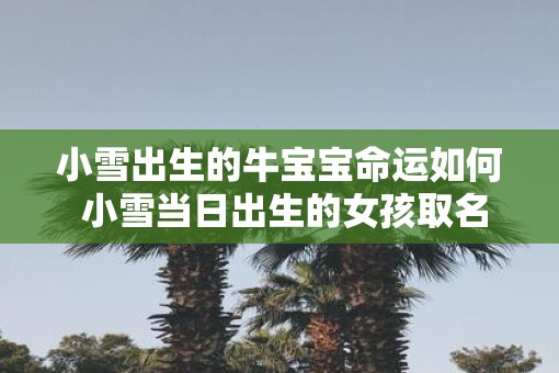 小雪出生的牛宝宝命运如何 小雪当日出生的女孩取名