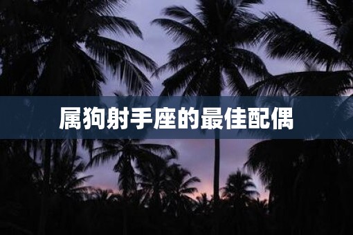 属狗射手座的最佳配偶