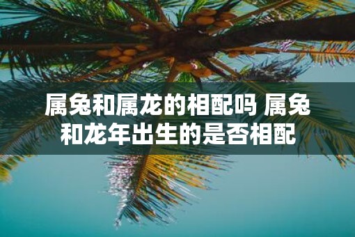 属兔和属龙的相配吗 属兔和蛇年出生的是否相配