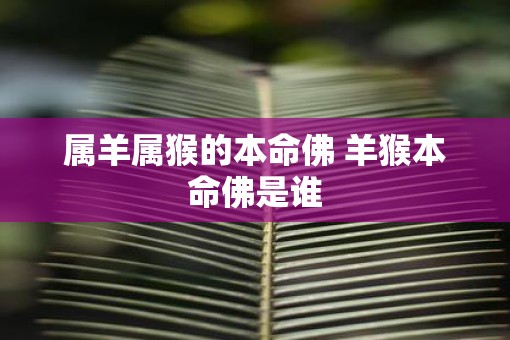 属羊属猴的本命佛 羊猴本命佛是谁
