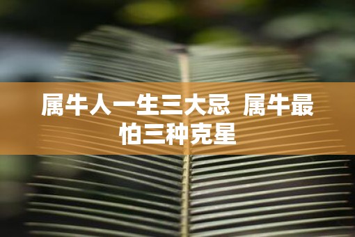 属牛人一生三大忌  属牛最怕三种克星