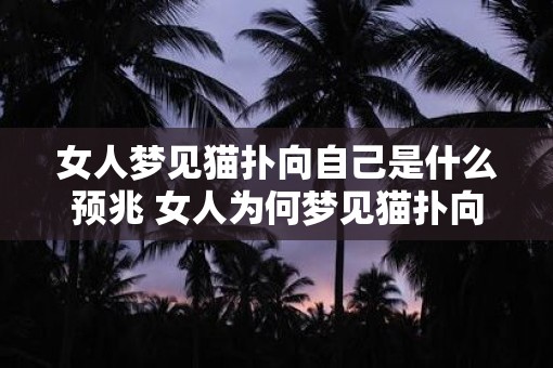 女人梦见猫扑向自己是什么预兆 女人为何梦见猫扑向自己