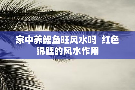 家中养鲤鱼旺风水吗  红色锦鲤的风水作用