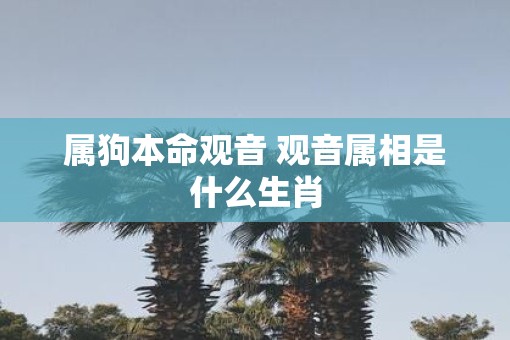 属狗本命观音 观音属相是什么生肖