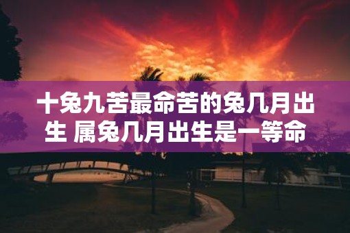十兔九苦最命苦的兔几月出生 属兔几月出生是一等命
