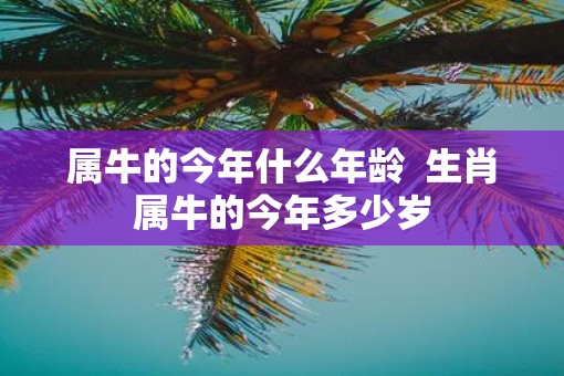 属牛的今年什么年龄  生肖属牛的今年多少岁