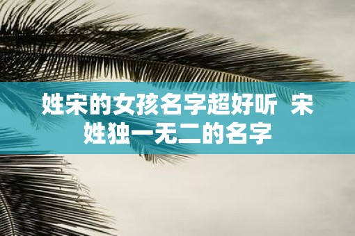 姓宋的女孩名字超好听  宋姓独一无二的名字
