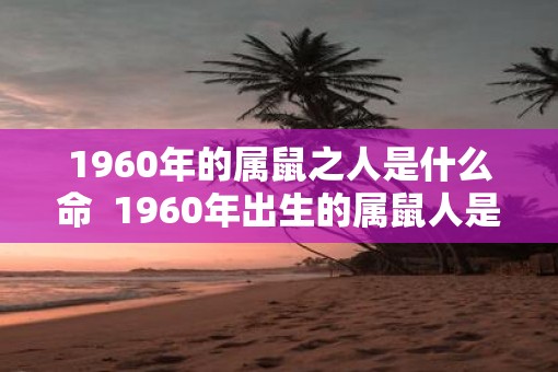 1960年的属鼠之人是什么命  1960年出生的属鼠人是什么命