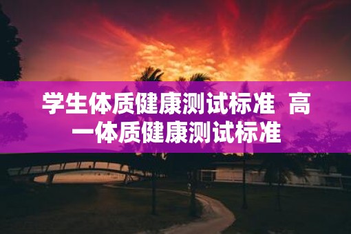 学生体质健康测试标准  高一体质健康测试标准