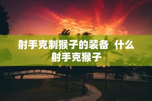 射手克制猴子的装备  什么射手克猴子