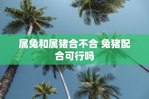 属兔和属猪合不合 兔猪配合可行吗