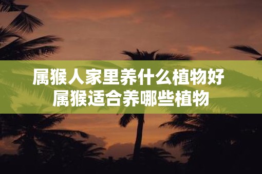 属猴人家里养什么植物好 属猴适合养哪些植物