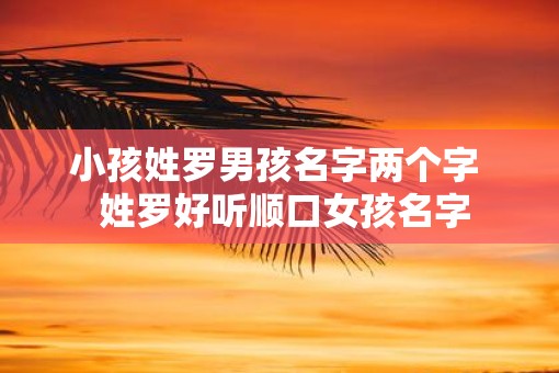 小孩姓罗男孩名字两个字  姓罗好听顺口女孩名字
