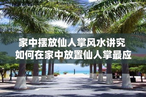 家中摆放仙人掌风水讲究 如何在家中放置仙人掌最应该注意的风水