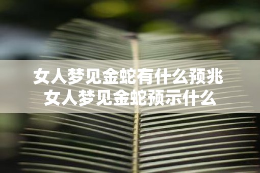 女人梦见金蛇有什么预兆 女人梦见金蛇预示什么