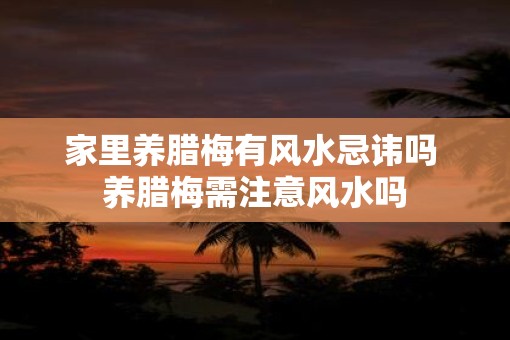 家里养腊梅有风水忌讳吗 养腊梅需注意风水吗