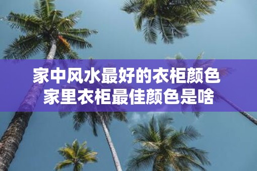 家中风水最好的衣柜颜色 家里衣柜最佳颜色是啥