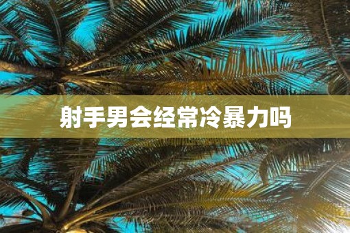 射手男会经常冷暴力吗