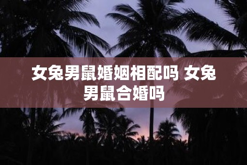 女兔男鼠婚姻相配吗 女兔男鼠合婚吗