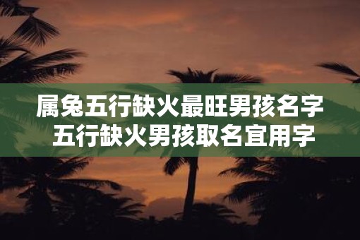 属兔五行缺火最旺男孩名字 五行缺火男孩取名宜用字