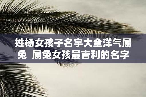 姓杨女孩子名字大全洋气属兔  属兔女孩最吉利的名字免费
