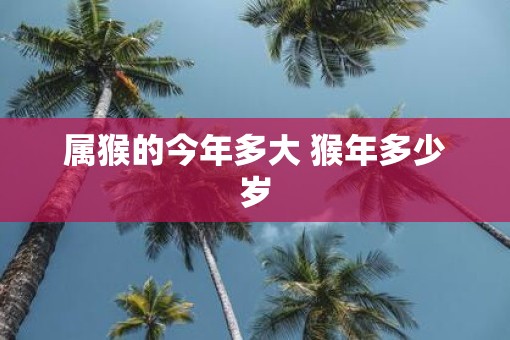 属猴的今年多大 猴年多少岁