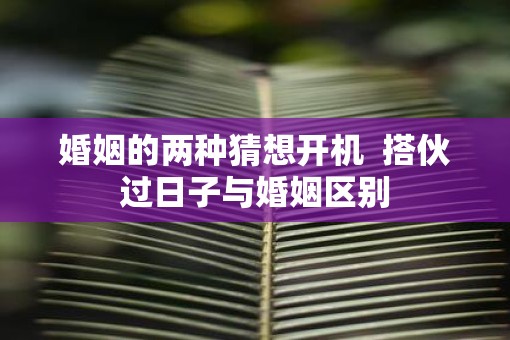婚姻的两种猜想开机  搭伙过日子与婚姻区别
