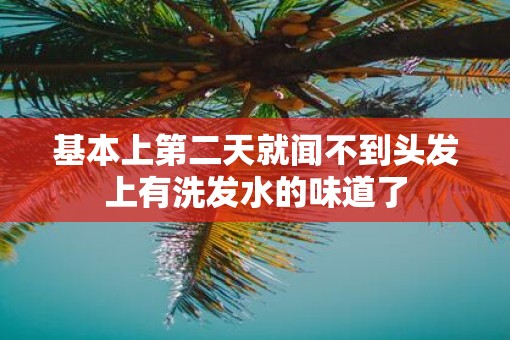 基本上第二天就闻不到头发上有洗发水的味道了