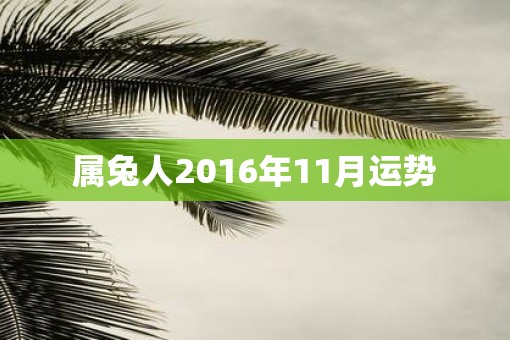 属兔人2016年11月运势