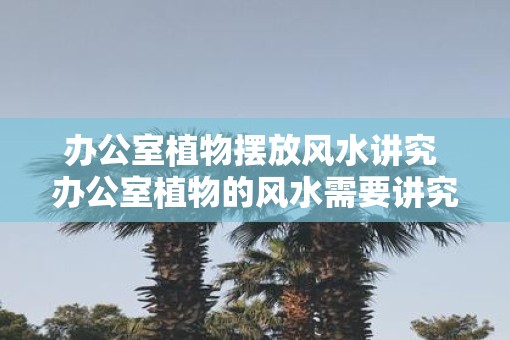 办公室植物摆放风水讲究 办公室植物的风水需要讲究吗