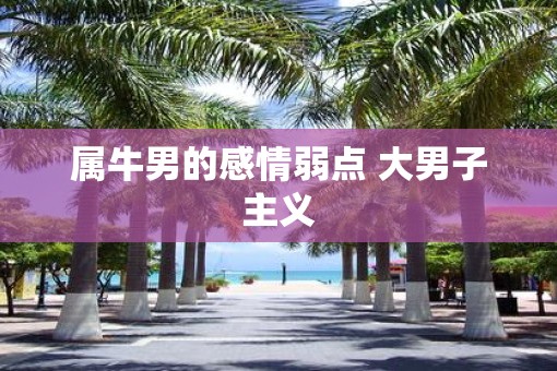 属牛男的感情弱点 大男子主义
