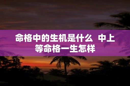 命格中的生机是什么  中上等命格一生怎样