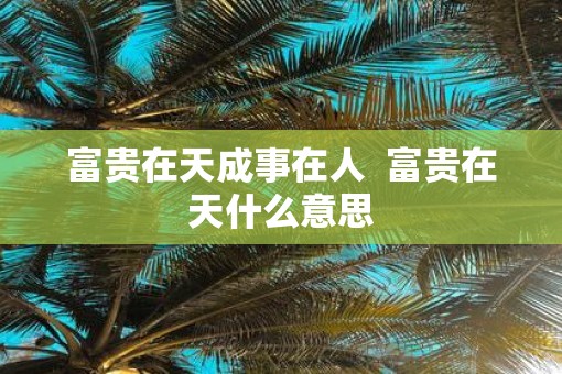 富贵在天成事在人  富贵在天什么意思