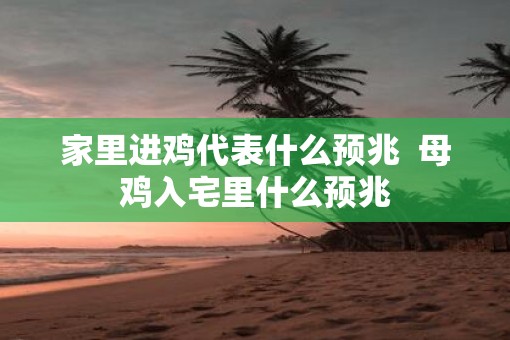 家里进鸡代表什么预兆  母鸡入宅里什么预兆