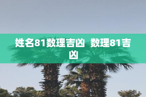 姓名81数理吉凶  数理81吉凶 姓名81数理吉凶  数理81吉凶