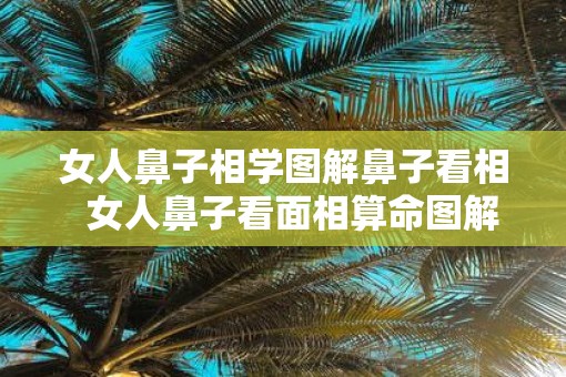 女人鼻子相学图解鼻子看相  女人鼻子看面相算命图解