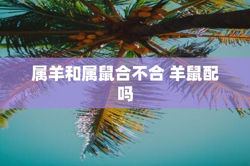 属羊和属鼠合不合 羊鼠配吗