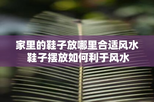 家里的鞋子放哪里合适风水 鞋子摆放如何利于风水