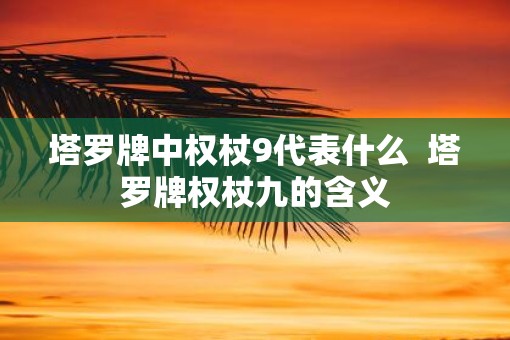 塔罗牌中权杖9代表什么  塔罗牌权杖九的含义