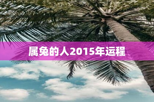 属兔的人2015年运程