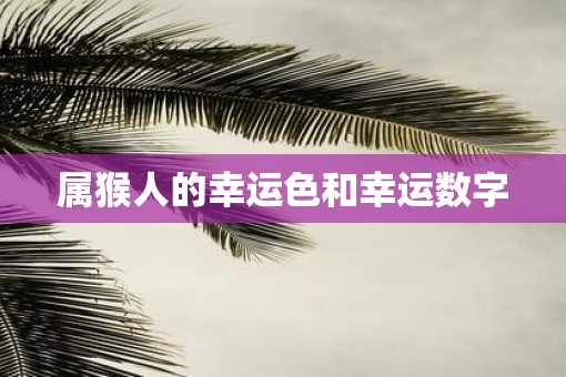 属猴人的幸运色和幸运数字