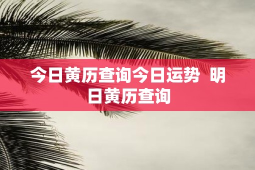 今日黄历查询今日运势  明日黄历查询