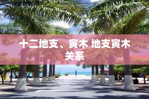 十二地支、寅木 地支寅木关系